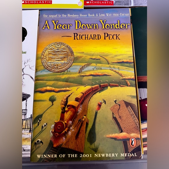 Fiction Book Lot 6 Like New Books Juvenile Readers Chapters Scholastic School - Picture 8 of 9